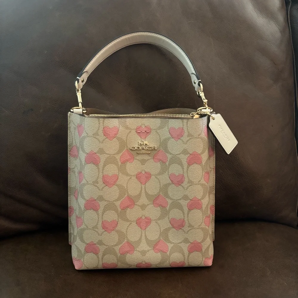 Coach Limited Edition Mollie Bucket 22 Bag Valentines 2024 Collection Pink Heart - Picture 8 of 16